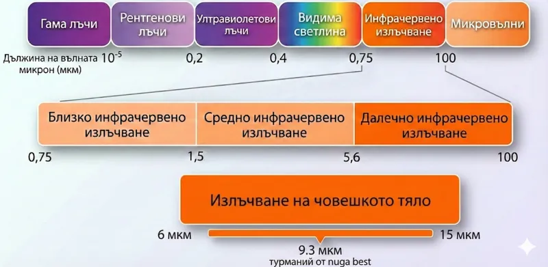 Далечна инфрачервена топлина - визуализация на терапията